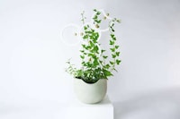 Trellis-Equipped Indoor Planters Image 6