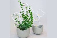 Trellis-Equipped Indoor Planters Image 7