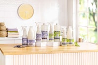 Probiotic-Powered Household Cleaners Image 1
