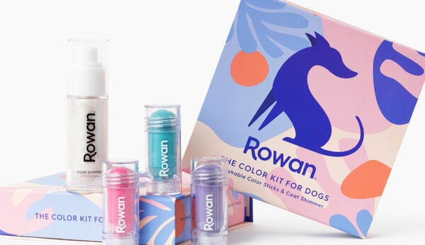 Non-Toxic Dog Color Sticks