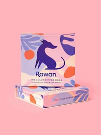 Non-Toxic Dog Color Sticks Image 4