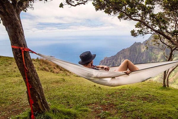 Top 100 Eco Trends in July
