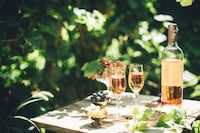 Full-Sized Wine Samples Image 2
