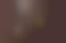 Limited-Edition Bronzer Brushes