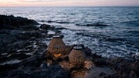 Pear-Shaped Outdoor Lamps Image 3