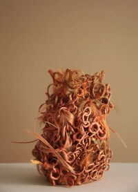 Human Hair-Made Pots Image 3
