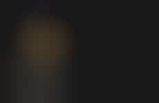 Quirky Fauna-Adorned Lifestyle Socks