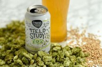 Experimental Summer IPAs