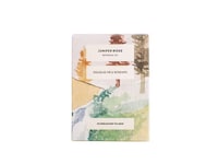 Refreshing Botanical Teas Image 4