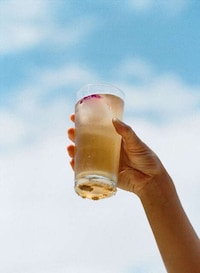 Refreshing Botanical Teas Image 6