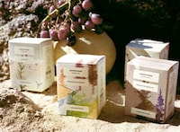 Refreshing Botanical Teas Image 7
