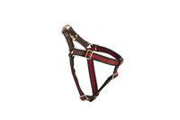 Pet-Focused Luxury Collections Image 4