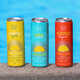Saltwater-Infused Canned Cocktails Image 1