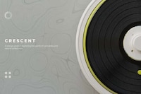 Record-Cleaning Vinyl Turntables Image 3
