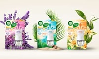 Air Freshener Rebrands Image 1