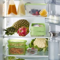 Reusable Malleable Food Containers Image 3
