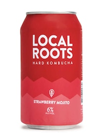 Authentic Boozy Craft Kombuchas Image 3