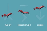 Autonomous Commercial-Ready Drones Image 4