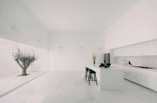 Lofty Minimalist Living Spaces