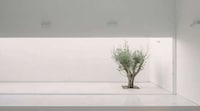 Lofty Minimalist Living Spaces Image 3