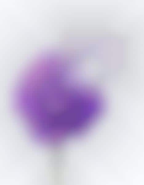 Raindrop-Inspired Fragrance Journeys