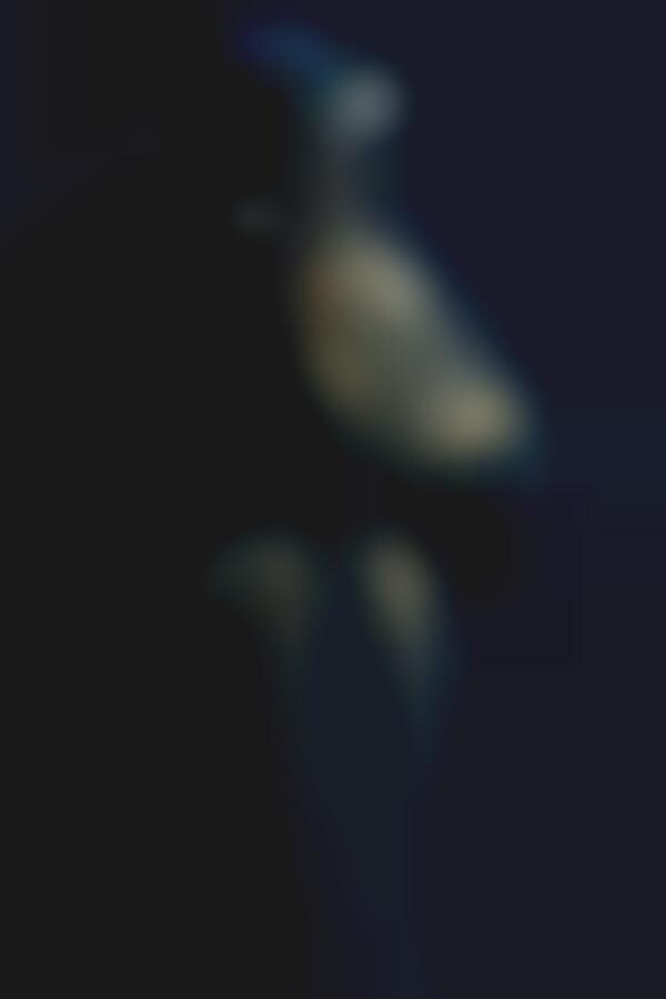 Digitally Produced Haute Couture