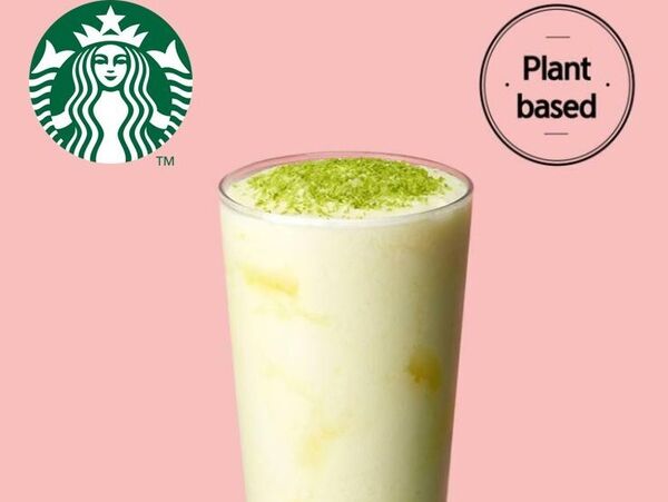 Vegan Coconut Yogurt Drinks