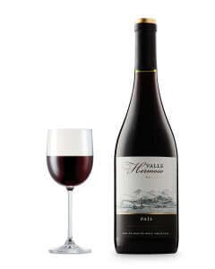 Versatile Vegan Wines