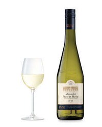 Versatile Vegan Wines Image 2