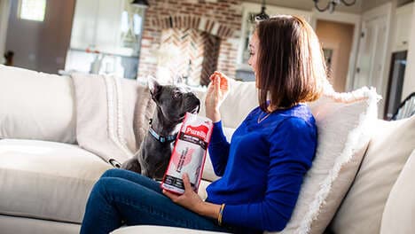 Pet Food Digital Campaigns