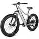 Durable Off-Road Electric Bikes Image 2