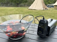 Portable Cleaning Devices