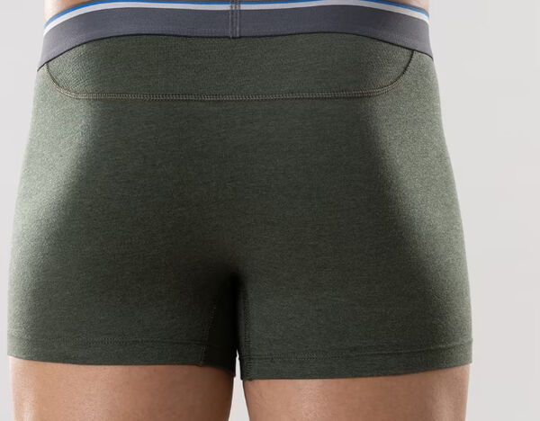 Eco-Conscious Underwear Brands : underwear brand