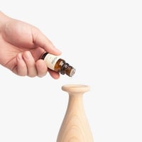 Electricity-Free Scent Diffusers Image 6