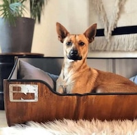 Oil Drum Dog Beds Image 3
