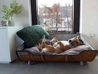Oil Drum Dog Beds Image 7