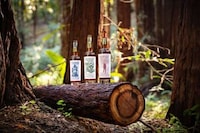 Distiller Tree Planting Initiatives