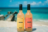 Caribbean-Inspired Drink Mixers