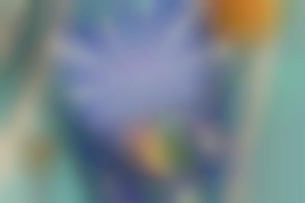 Musician-Founded Summer Skincare