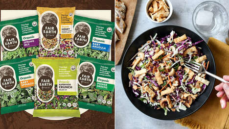 Compostable Packaging Salad Lines
