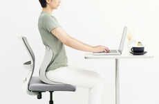 Supplemental Posture Chair Supports