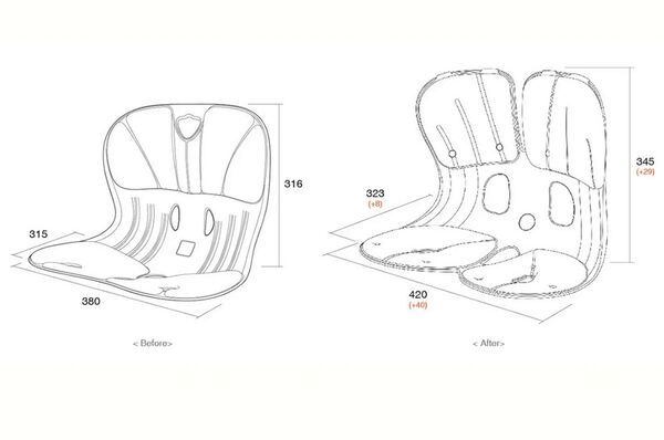 Supplemental Posture Chair Supports : Curble Chair