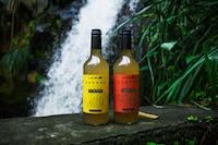 Caribbean-Inspired Drink Mixers Image 1