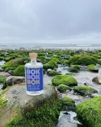 Korean Botanical Gins