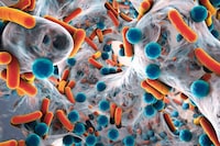 Gut Microbiome Startups Image 1