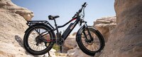 Essentials-Focused E-Bikes Image 1