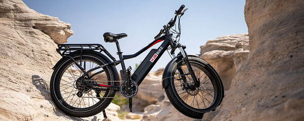 Essentials-Focused E-Bikes