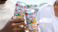 Collaboration Canned Hard Teas Image 1