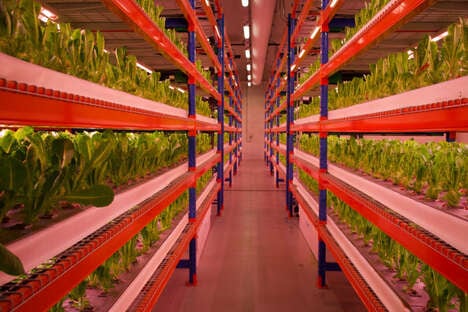 Enclosed Vertical Farms