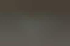 Fictitious Language Learning Activations